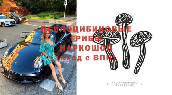 Альфа ПВП Балахна