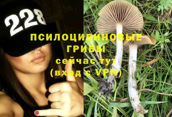 Альфа ПВП Балахна