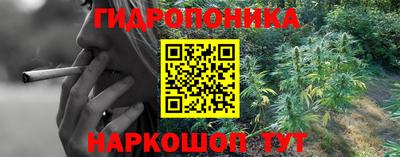 jwh Анжеро-Судженск