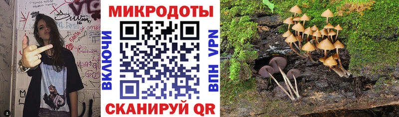 Галлюциногенные грибы Psilocybine cubensis Белогорск