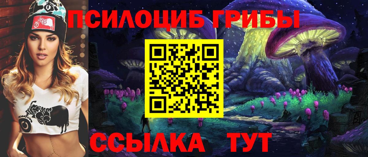 Псилоцибиновые грибы GOLDEN TEACHER  Псилоцибиновые грибы Cubensis  хочу   Вход с VPN  Белогорск 